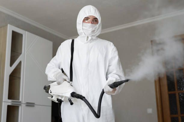 Madera Acres, CA Mold Removal & Remediation Company